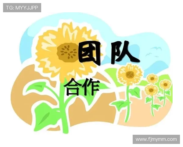 上海攀岩队意识对比研究：团队协作与个人心理的深度剖析