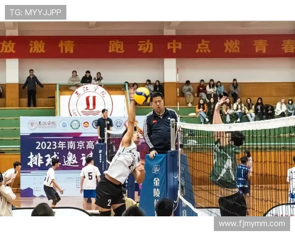 南京排球队意识表现分析：数据揭示团队协作与个人能力的关系