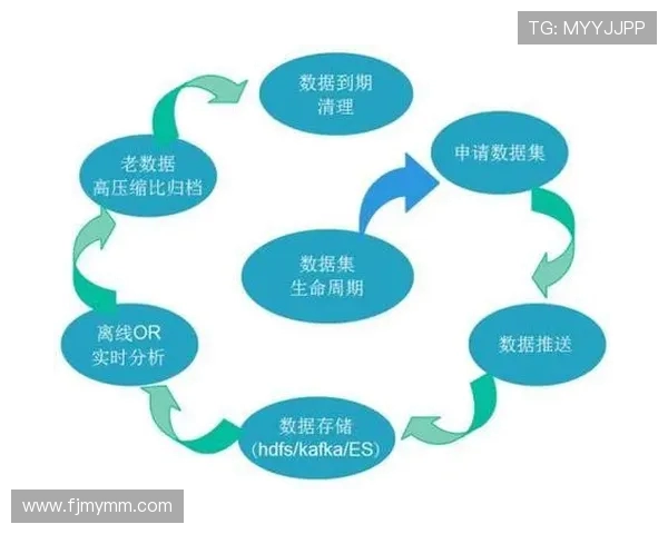 南京攀岩队力量表现的数据分析与训练策略探讨