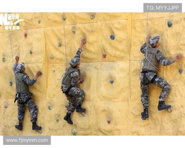 攀岩战术解析：北京攀岩队如何构建整体压制体系与战术协同
