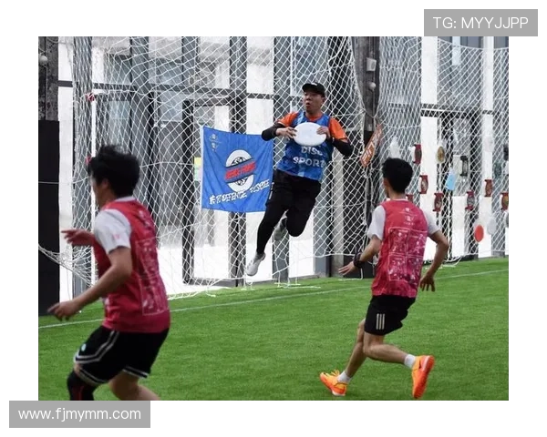 武汉飞盘队与北京飞盘队赛后战术分析与总结探讨