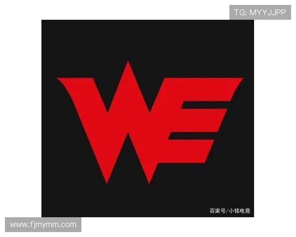 热议英雄联盟战队WE灵活性变革带来的战术创新与未来展望