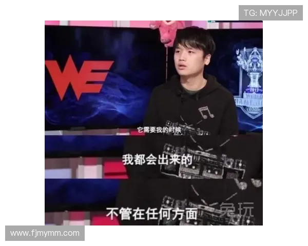 WE战队的荣耀之路与奋斗精神全景回顾