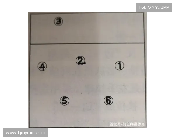 成都排球队在挑战赛中的战术表现分析与点评探讨